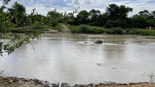 The Kalomo River with water at the future crossing of the Kalomo River Pedestrian Bridge